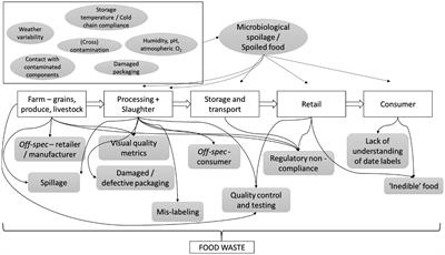 Linking microbial contamination to food spoilage and food waste: the role of smart packaging, spoilage risk assessments, and date labeling